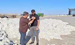 Bismil’de sezonun pamuğu Araz Pamuk’a geldi
