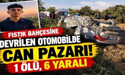 Fıstık Bahçesine Devrilen Otomobilde Can Pazarı: 1 Ölü, 6 Yaralı