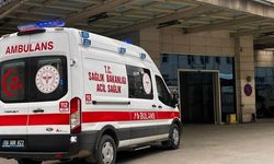 Fıstık Toplamaya Giden İşçileri Taşıyan 'Patpat' Devrildi: 7 Yaralı!