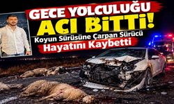 Gece Yolculuğu Acı Bitti: Koyun Sürüsüne Çarpan Sürücü Hayatını Kaybetti