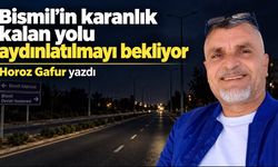 Bismil’in karanlık kalan yolu aydınlatılmayı bekliyor
