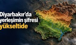 Diyarbakır’da yerleşimin şifresi yükseltide: Bilimsel araştırma dikkat çeken tabloyu ortaya koydu