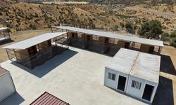 Kulp'tan Sokak Hayvanlarına 25 Bin Metrekarelik Güvenli Yuva