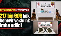 Uzaktan algılama sistemiyle tespit edildi: 99 araziye baskın