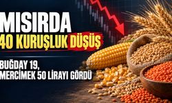 Mısırda 40 kuruşluk düşüş: buğday 19, mercimek 50 lirayı gördü