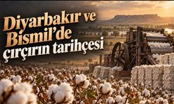 Bismil’de pamuğun sanayiye açılan kapısı; Beyaz altının çırçırla büyüyen hikâyesi