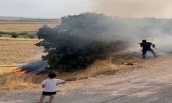 Adıyaman'da Bahçe Yangını: Ağaçlar Alevlere Teslim Oldu