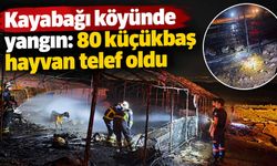 Kayabağı köyünde yangın: 80 küçükbaş hayvan telef oldu