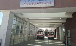 Tütün Yüklü Traktörün Römorku Devrildi: 9 Yaralı