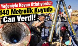 Yeğeniyle Koyun Otlatıyordu: 140 Metrelik Kuyuda Can Verdi!