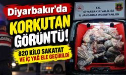 Diyarbakır’da korkutan görüntü: 820 kilo sakatat ve iç yağ ele geçirildi