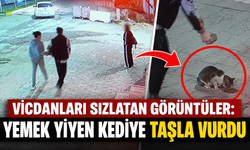 Vicdanları Sızlatan Görüntüler: Yemek Yiyen Kediye Taşla Vurdu