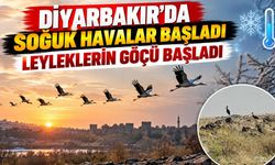 Diyarbakır'da Soğuk Havalar Başladı: Leyleklerin Göçü Başladı