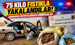 75 Kilo Fıstıkla Yakalandılar! Jandarma Devriyesinden Kaçamadılar