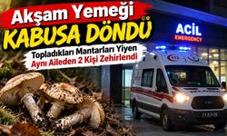 Akşam Yemeği Kabusa Döndü: Topladıkları Mantarları Yiyen Aynı Aileden 2 Kişi Zehirlendi