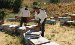 Kato ve Kel Mehmet dağlarının arasında bal hasadı heyecanı