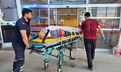 Ağaç keserken dengesini kaybetti: 70 yaşındaki adam yaralandı