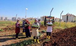 Diyarbakır’da Kadınların Yönettiği 18 Dönümlük Bostanda Yeni Dönem