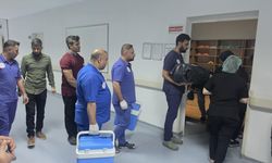 Hayatını kaybeden 2 yaşındaki Emine’nin organları 3 çocuğa umut oldu
