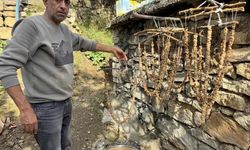 Çermik'te Bağ Bozumu Ve Pestil Yapımı Başladı