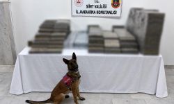 Kömür Çuvallarının Arasında Yakalandı: Binlerce Paket Kaçak Sigara Ele Geçirildi