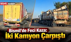 Bismil’de Feci Kaza: İki Kamyon Çarpıştı