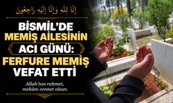 Bismil’de Memiş ailesinin acı günü: Ferfure Memiş vefat etti