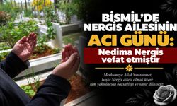 Bismil’de Nergis Ailesinin acı günü: Nedima Nergis vefat etmiştir