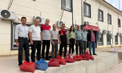 Çelikhan’da Alternatif Tarım Hamlesi: Üreticilere Salep Yumrusu Dağıtıldı