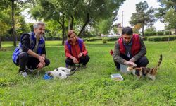 Diyarbakır Büyükşehir Belediyesi'nden 'Hayvanları Koruma Günü' İçin Farkındalık Çalışması