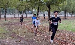 Diyarbakır'da Cumhuriyet Halk Koşusu Heyecanı: Sporcular Derece İçin Ter Döktü