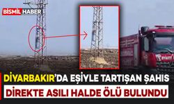 Diyarbakır'da eşiyle tartışan şahıs direkte asılı halde ölü bulundu