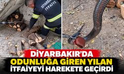 Diyarbakır’da odunluğa giren yılan itfaiyeyi harekete geçirdi