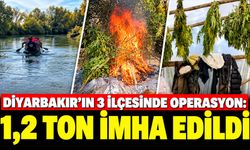 Diyarbakır'ın 3 İlçesinde Operasyon: 1,2 Ton İmha Edildi