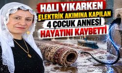 Halı Yıkarken Elektrik Akımına Kapılan 4 Çocuk Annesi Hayatını Kaybetti