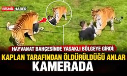 Hayvanat bahçesinde yasaklı bölgeye girdi: Kaplan tarafından öldürüldüğü anlar kamerada