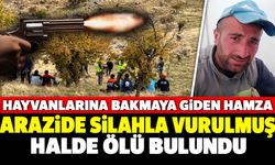 Hayvanlarına Bakmaya Giden Hamza Arazide Silahla Vurulmuş Halde Ölü Bulundu