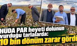 Bismil’de 10 bin dönüm arazi doludan zarar gördü
