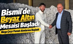 Bismil’de Pamuk Hasadı 20 Gün Gecikmeli Başladı