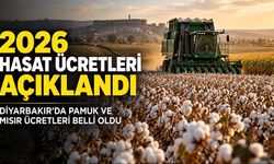 Pamuk ve Mısır Üreticilerini İlgilendiriyor: 2026 Hasat Ücretleri Belli Oldu