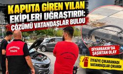 Kaputa Giren Yılan Ekipleri Uğraştırdı: Çözümü Vatandaşlar Buldu