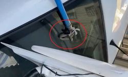 Bagajına yılan giren araç sahibinin yardımına esnaf yetişti