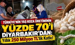 Türkiye’nin Yaş Koza Üretiminin Yüzde 70’i Diyarbakır’dan: Yıllık 250 Milyon TL’lik Katkı!