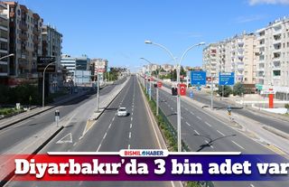 Diyarbakır'da sayıları 10 bini geçecek
