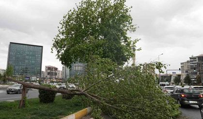 Meteorolojiden Diyarbakır ve çevre illere kuvvetli rüzgar uyarısı