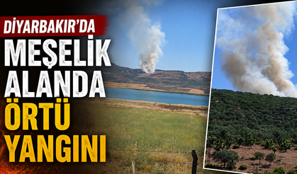Diyarbakır'da Meşelik Alanda Örtü Yangını