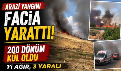 Arazi Yangını Facia Yarattı: 200 Dönüm Kül Oldu, 1'i Ağır, 3 Yaralı