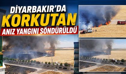 Diyarbakır'da Korkutan Anız Yangını Söndürüldü