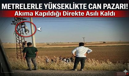 Metrelerce Yükseklikte Can Pazarı! Akıma Kapıldığı Direkte Asılı Kaldı