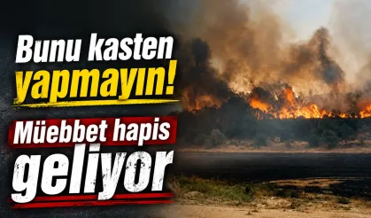 Bunu Kasten Yapmayın! Müebbet Hapis Cezası Geldi
